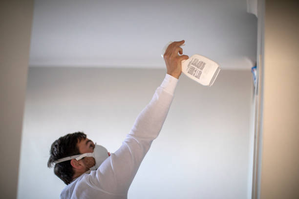 Best Crawl Space Mold Removal  in Mathews, LA