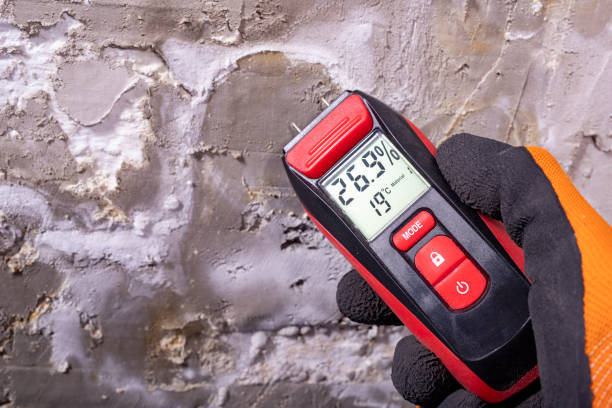 Best Fast Mold Removal  in Mathews, LA