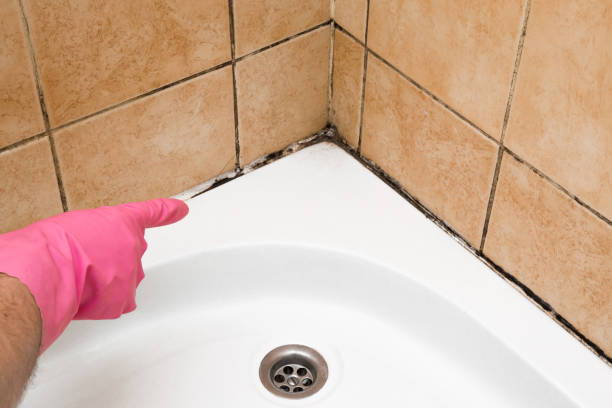 Best Professional Mold Removal  in Mathews, LA